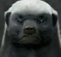 Error